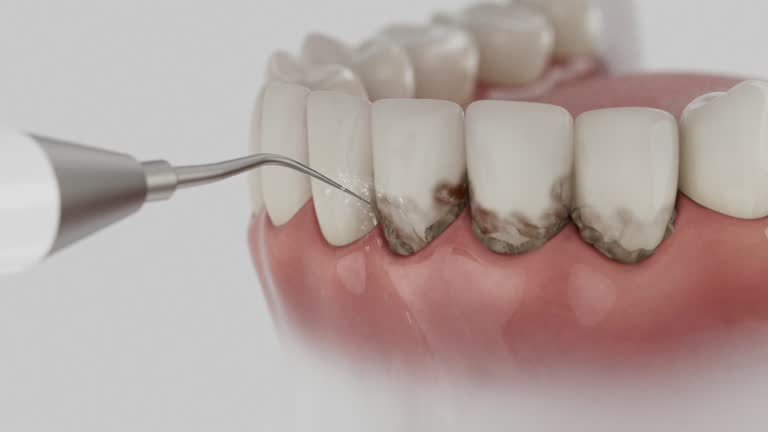 Reliable Dental contractor in Burton, OH by Dentist Open Now